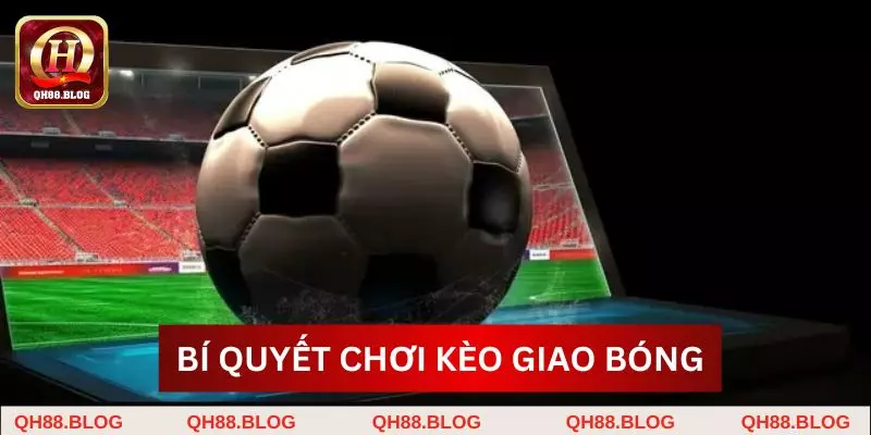 Bật mí bí quyết chơi cược phát banh hiệu quả Bật mí bí quyết chơi cược phát banh hiệu quả